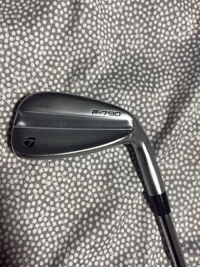 TaylorMade P•790 Silver Chrome Iron Head